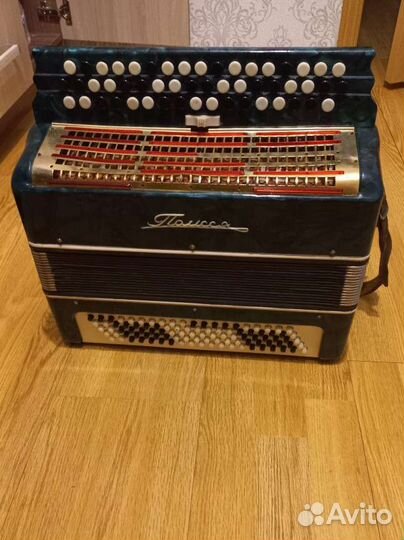 Баян полесье