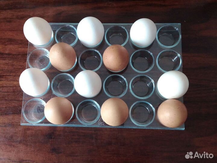 Контейнер для яиц