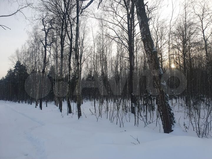 Участок 6 сот. (СНТ, ДНП)