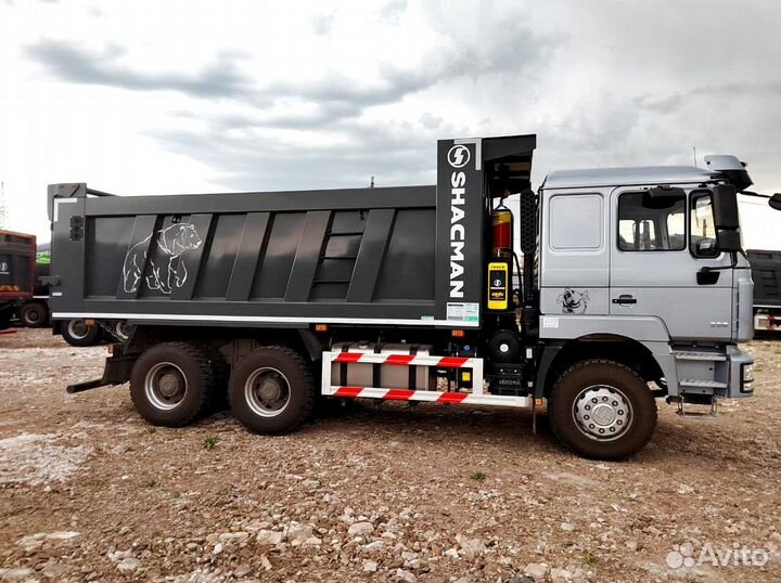 Shacman (Shaanxi) F3000, 2023