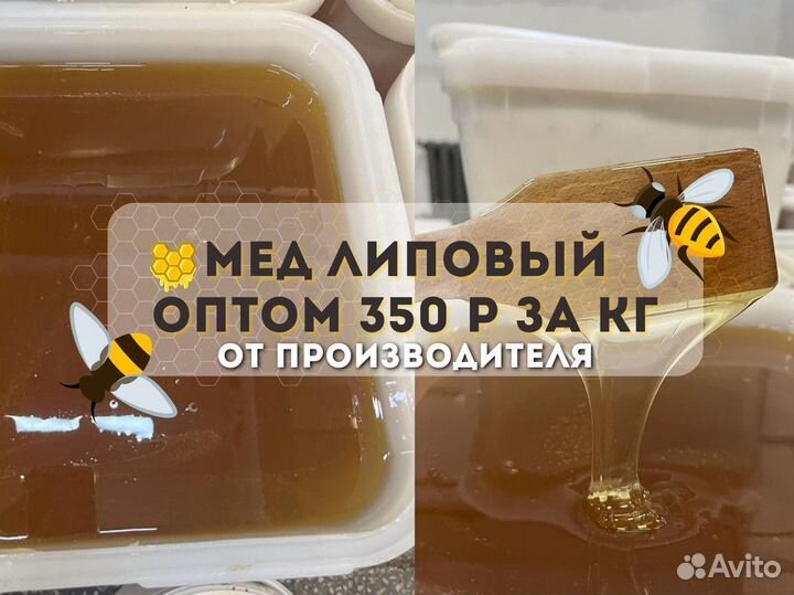 Мёд натуральный липовый. 2023г оптом