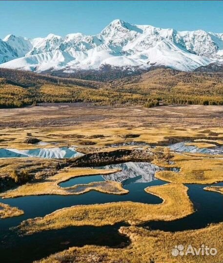 Трансфер, экскурсии туры с личным гидом-водителем