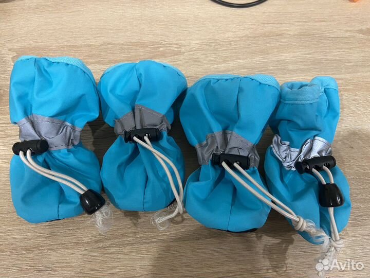 Ботиночки для животных