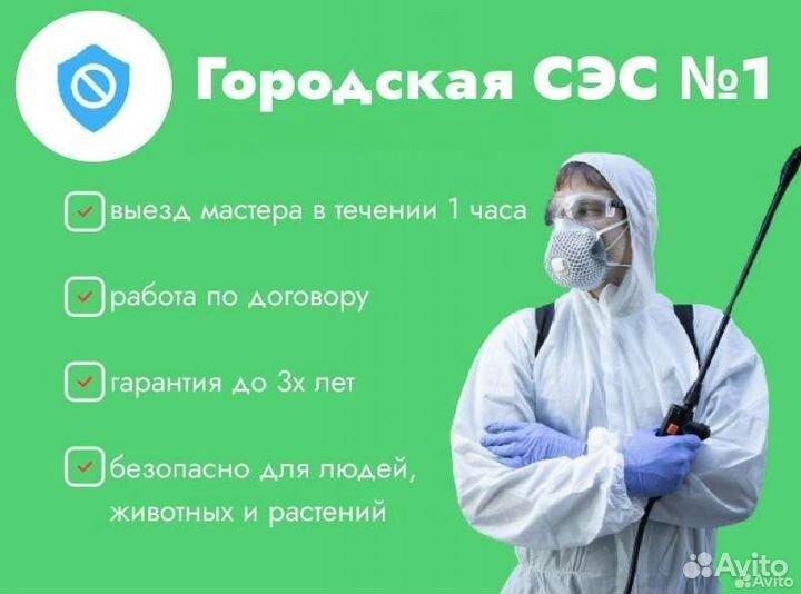 Уничтожение клопов тараканов мышей блох муравьёв