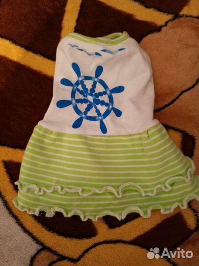 Одежда для маленьких собак