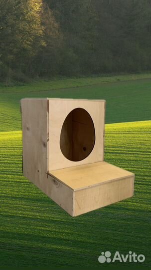 Гнездо для кур с яйцесборником