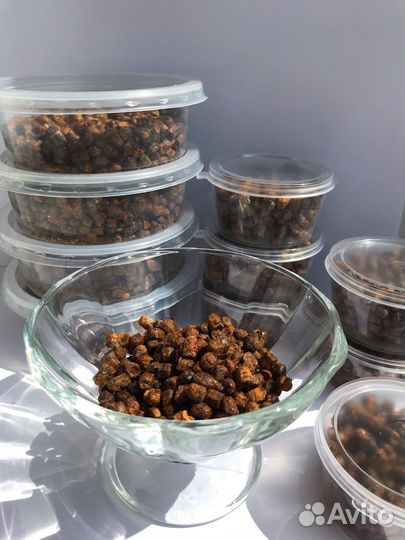 Перга пчелиная