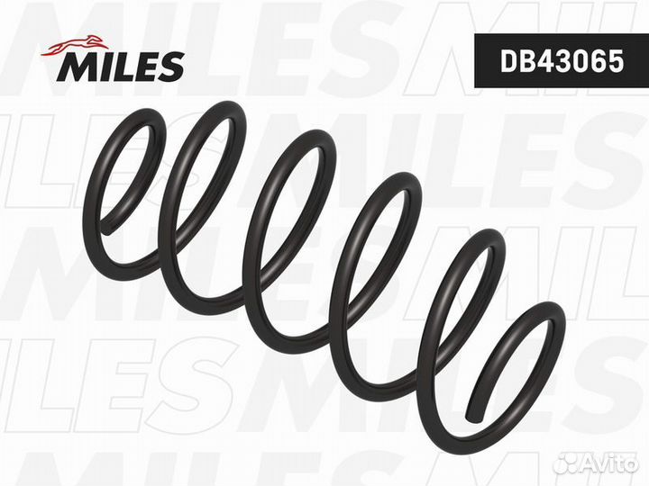 Передняя пружина