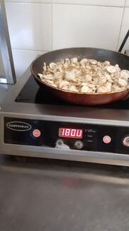 Срочный ремонт индукционных плит gastrorag итп