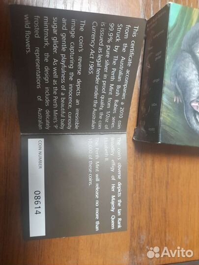 Австралийская сахарная летяга