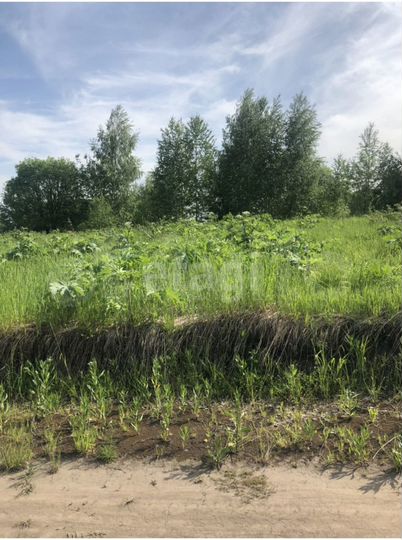 Участок 15 сот. (СНТ, ДНП)