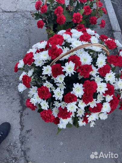 Красная гвоздика