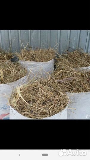 Солома в мешках
