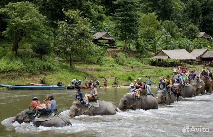 Загранпоездка в Таиланд 7 ночей