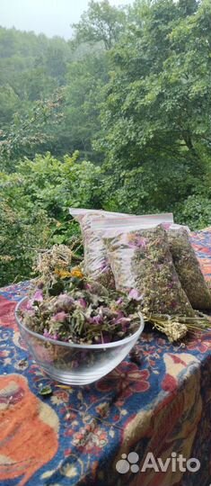 Горные травы, домики для проживания в Мезмае