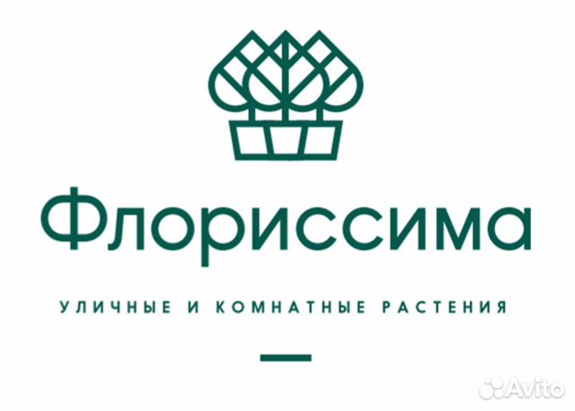 Садовый центр в ростове на дону. Флориссима в Ростове-на-Дону. Садовый центр Флориссима Ростов. Флориссима в Ростове-на-Дону официальный сайт. Логотип Флориссима Ростов.