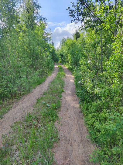 Участок 10 сот. (СНТ, ДНП)