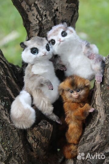 Белочки и обезьянка для Олеси. Бронь