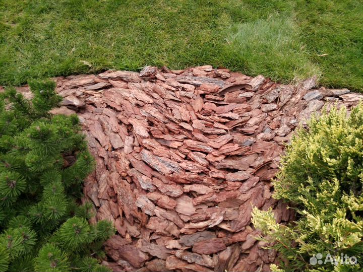 Самые низкие цены на кору лиственницы и сосны