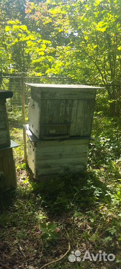 Продам ульи для пчел
