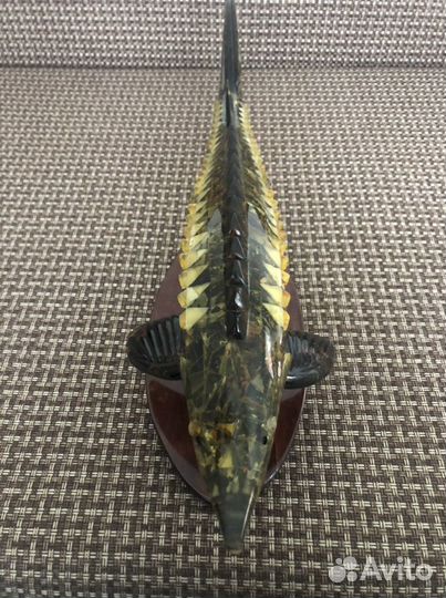 Янтарный Осётр