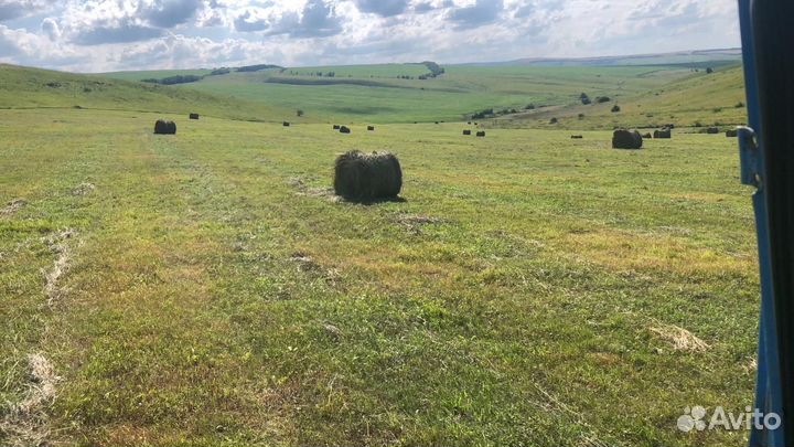 Продажа сена в рулонах