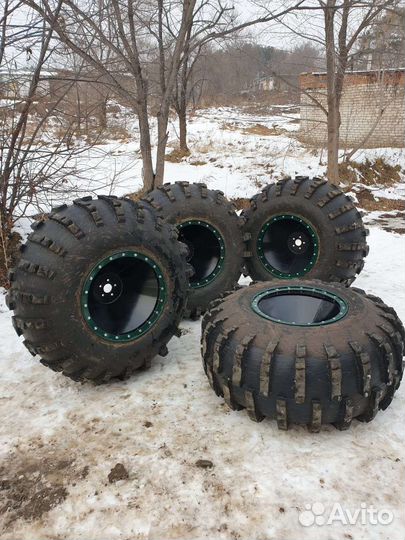 Ободрыши и диски