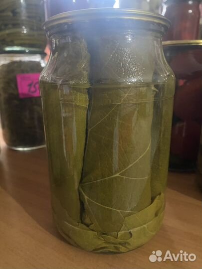 Виноградные листья