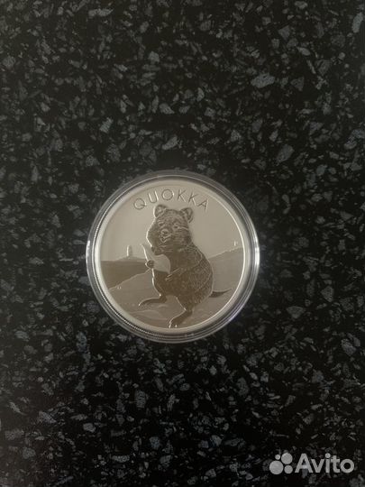 Монета квокка