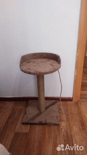 Когтеточка с лежанкой