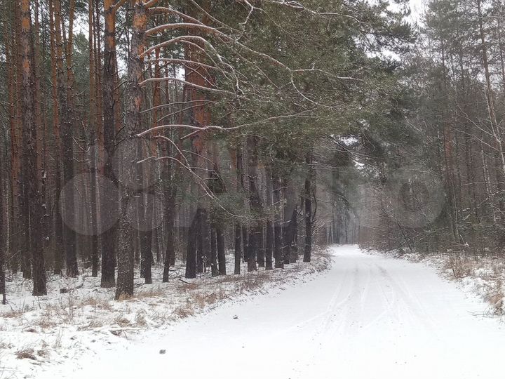 Участок 45 сот. (ИЖС)