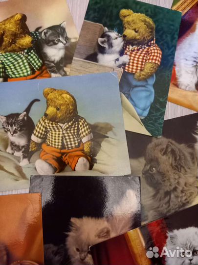 Открытки ГДР, котята. Винтаж