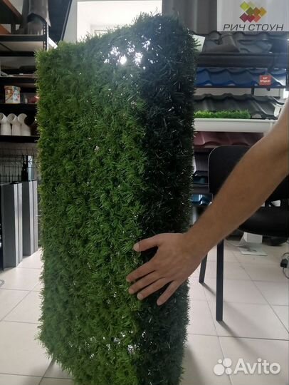 Зеленая изгородь