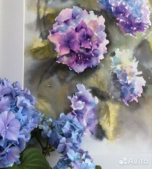 Картина акварелью Гортензия