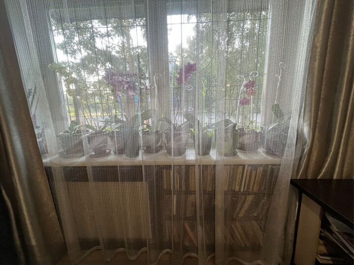 3-к. квартира, 56,5 м², 1/5 эт.