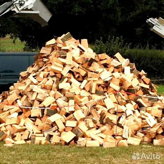 Дрова свежайшие