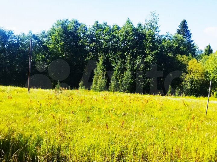 Участок 41 сот. (ИЖС)