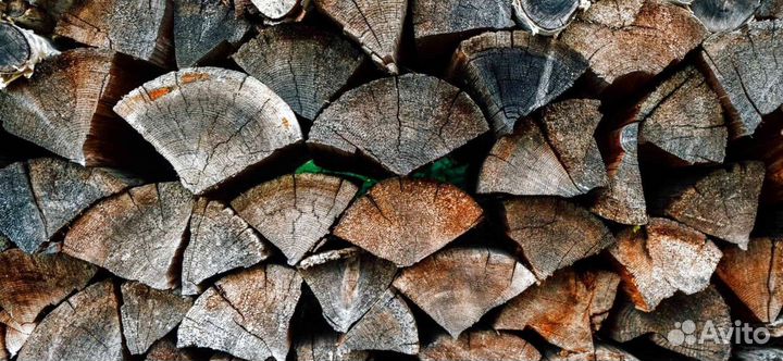 Дрова со Всеволожска