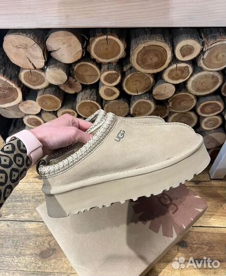 Угги Ugg Tazz Platform Sand (2024) Оригинал