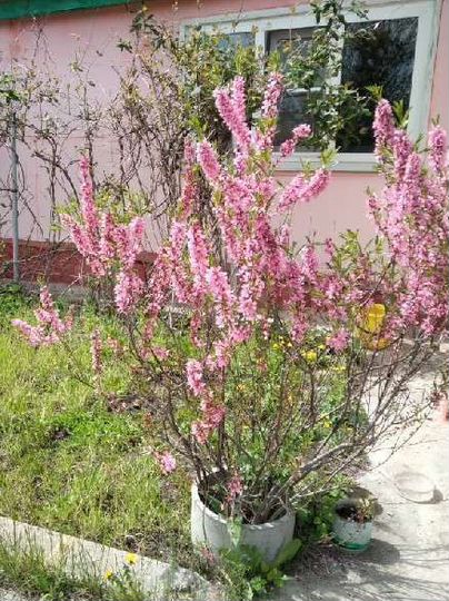 Дом 60 м² на участке 20 сот.