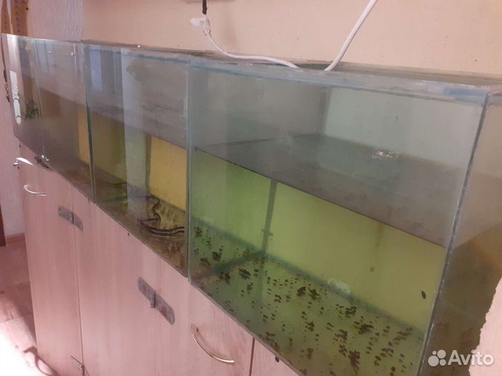 Аквариум 40л 100л 110л