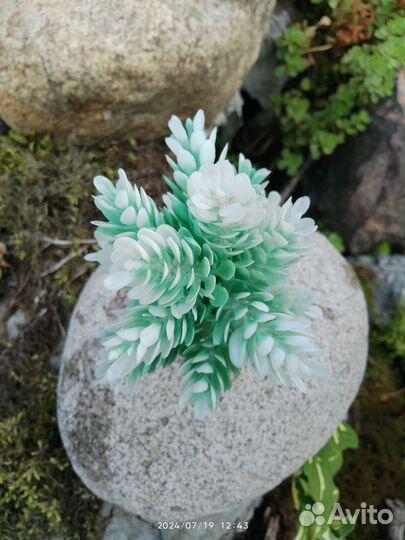 Искусственное растение