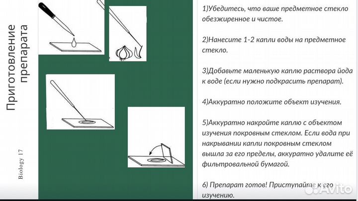 Репетитор по биологии