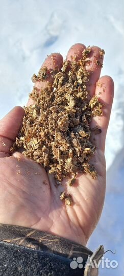 Жмых расторопши