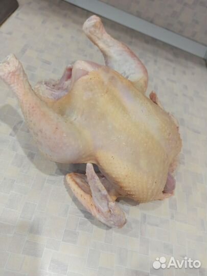 Мясо домашнего бройлера