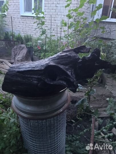 Коряга в аквариум большая