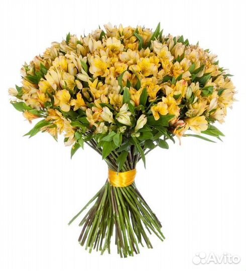 37 Желтых Альстромерий