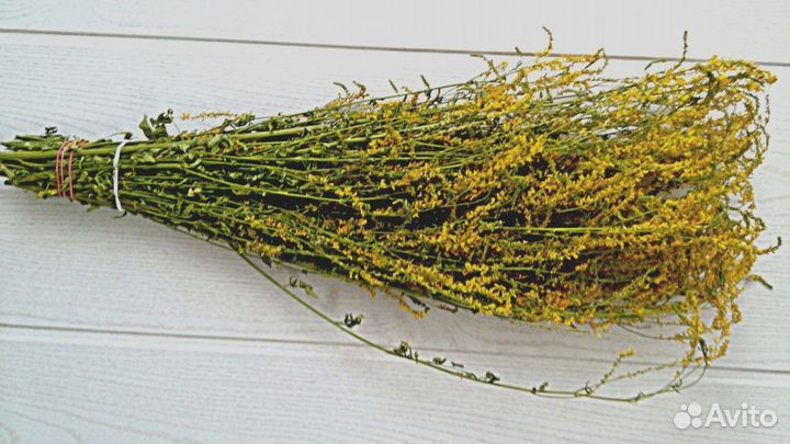 Веники для бани- донник