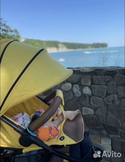 Коляска на прокат