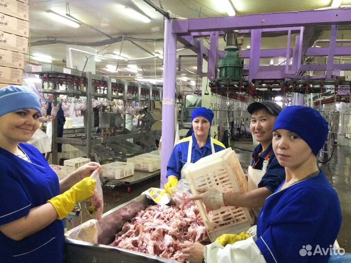 Упаковщик грудки Еда/жилье работа вахта